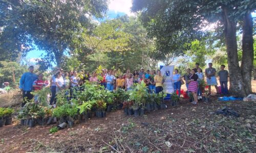 Proyecto ECO-UPAN
